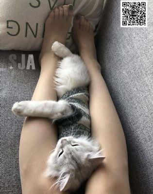 夏娃诱惑3电影末删减版_完整版电影在线观看